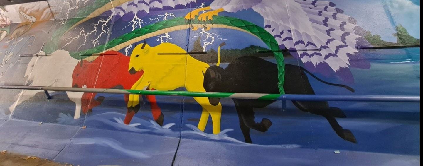 The Story of the White Buffalo Calf Woman